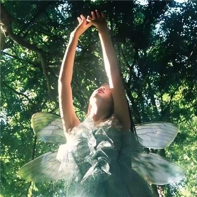 只有形式的罗曼史